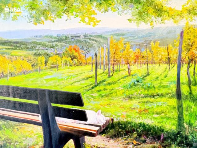 Traumwohnung mit Balkon und Loggia Rundumblick in die südsteirischen Weinberge