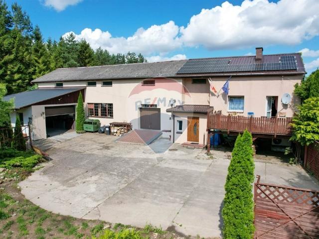 Dom z potencjałem inwestycyjnym w Trawicy, 531 m²