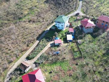 Arsin, Trabzon ili, Karadeniz Bölgesi