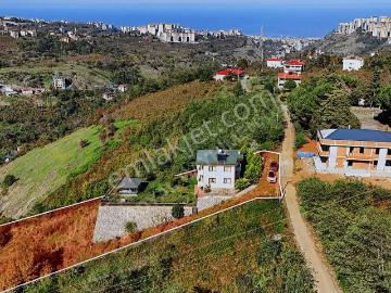 Trabzon Çukurçayır Sofrakayada Satılık Eşyalı Villa