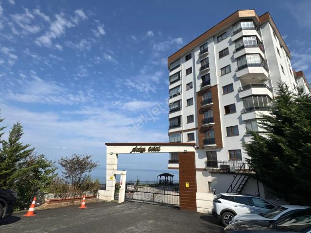 Trabzon 2 Nolu Beşirli Azelya Sitesi 3+1 Satılık Daire