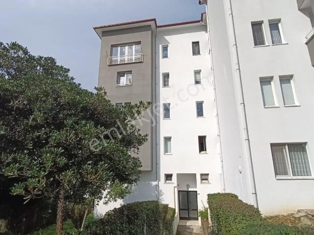 Trabzon 3 Nolu Erdoğdu 2+1 Kiralık Daire