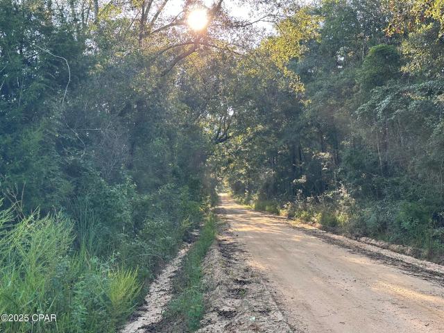 Tract#6201 Doyle Morgan Rd, DeFuniak Springs, FL 32433 | MLS #777985