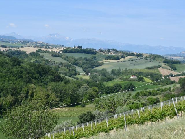 Tradizionale Casale Marchigiano 280m² Montottone