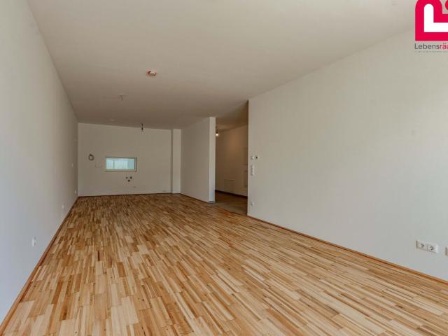 Tragwein 3 Zimmer Gartenwohnung Jetzt Preisreduziert!