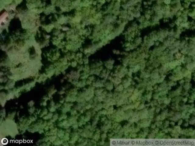 Transalpine Rd