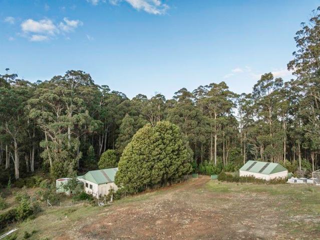 Tranquil 50 Acre Bush Retreat in the Hills of Franklin