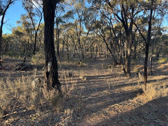 TRANQUIL 20 ACRE BUSH BLOCK!