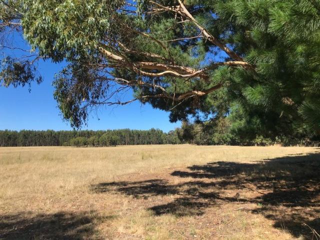 Tranquil Acreage in Lal Lal 8.2ha / 20.2 acres approx