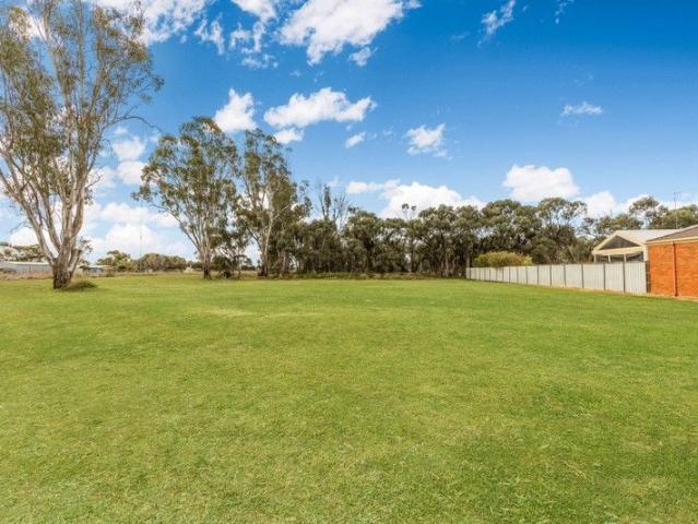 Tranquil and Expansive Allotment with Scenic Views
