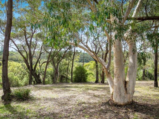 Tranquil bush setting in an established area