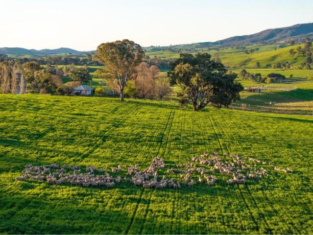 Tranquil country lifestyle!