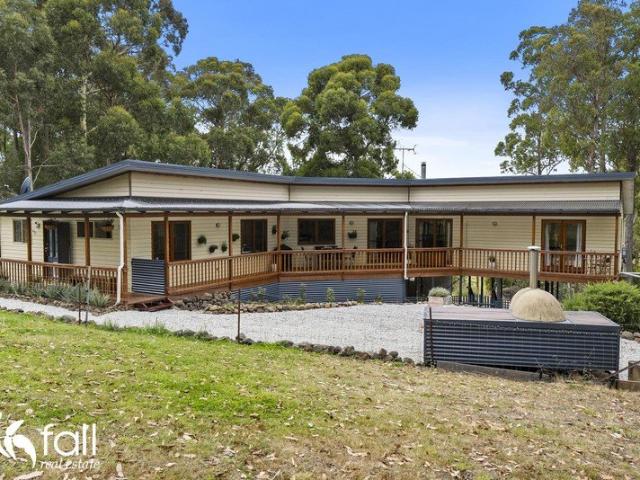 Tranquil Country Living with Space, Sunshine and Soul Just Two Houses up Pelverata Road