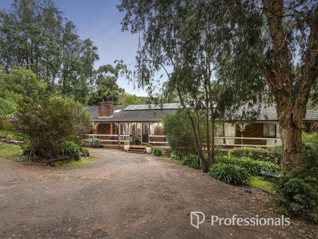 TRANQUIL FAMILY SANCTUARY IN A LEAFY BUSHLAND POCKET