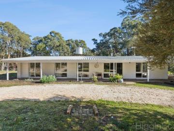 Tranquil Living Amongst Native Bushland
