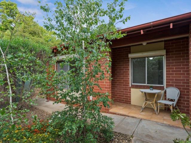 Tranquil Position with Spacious Private Outdoor Entertaining and Yard!