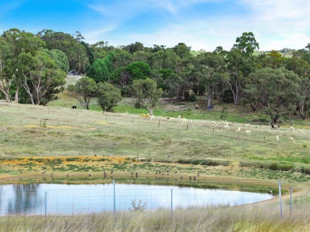 Tranquil Rural Escape on Approx. 18 Acres
