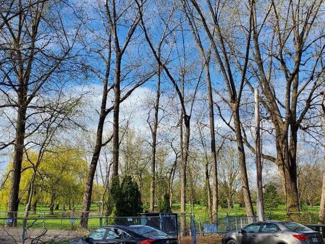 Tranquil, Spatieux et lumoineu devant le Golf à St Lambert
