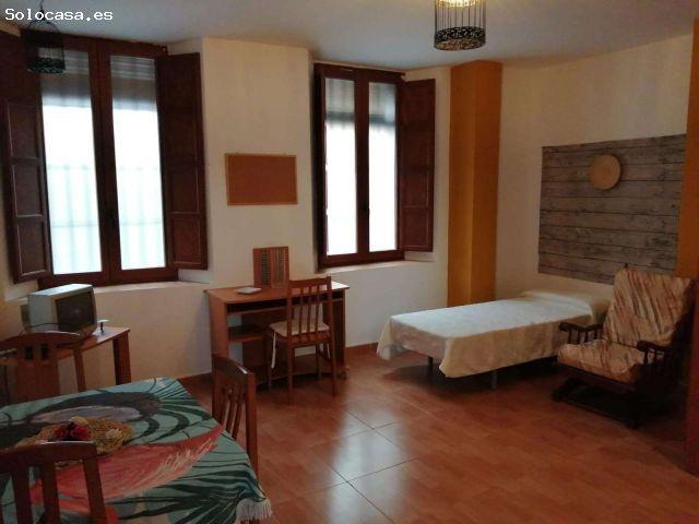 Tranquilo apartamento de 1 dormitorio en alquiler en Centro