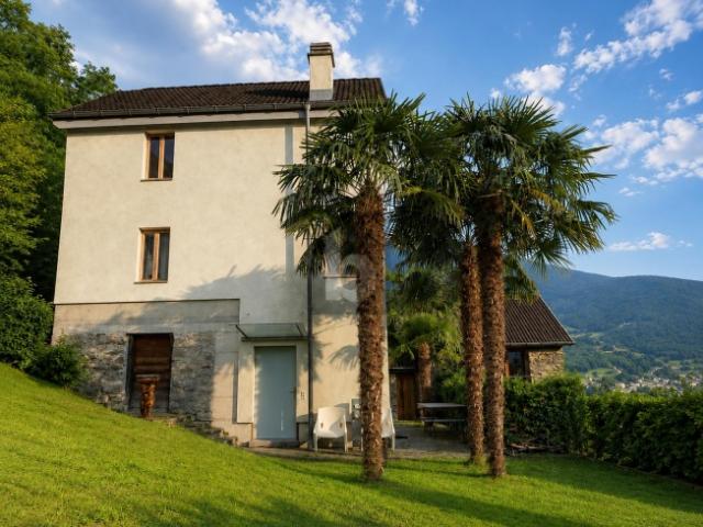 TRANQUILLA E SOLEGGIATA CON VISTA