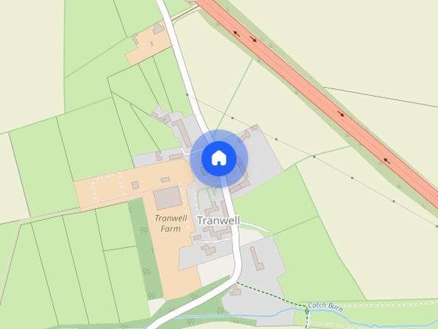 Tranwell Woods, Morpeth, NE61