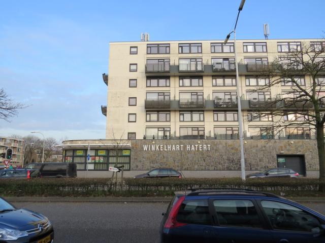treubstraat 188 nijmegen
