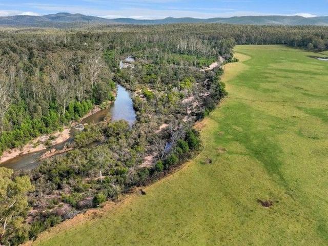 Tree Change with Sea Change in Far East Gippsland