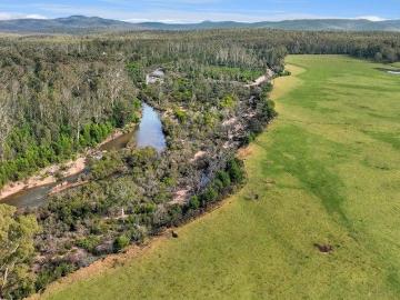 Tree Change with Sea Change in Far East Gippsland