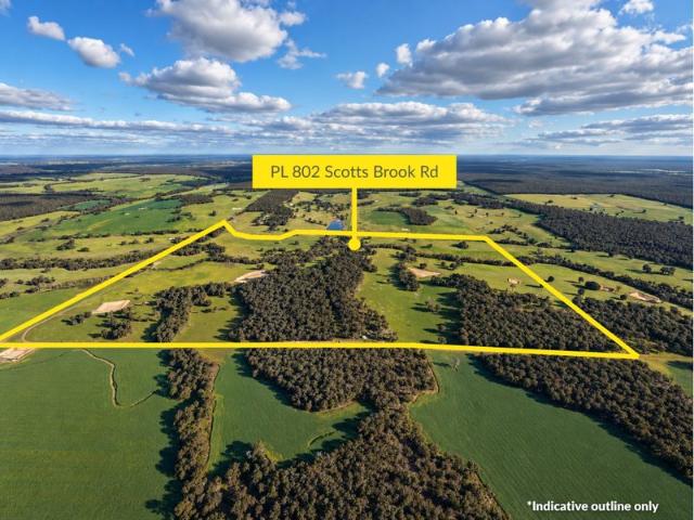 Tree Ridges: Impressive 154ha Regenerative Rural Escape