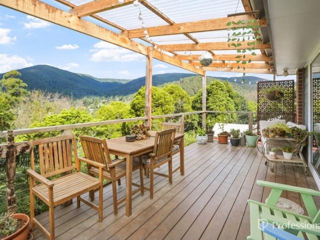 TREE TOP LIVING, MAGNIFICENT VIEWS & ENDLESS POSSIBILITIES