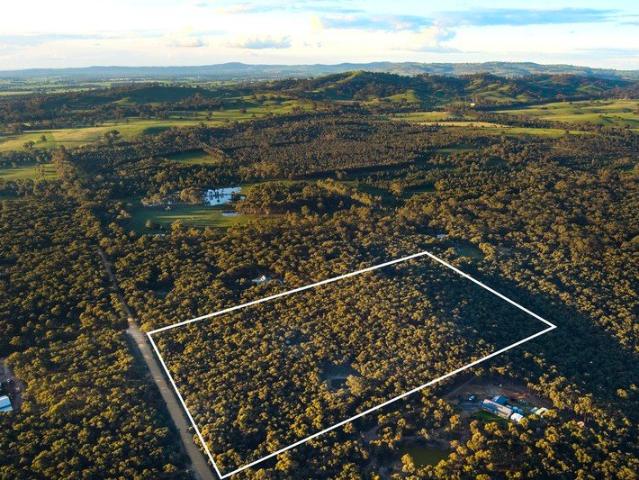 Trees & Tranquility in Walmer 7.105ha 17.55 Acres of Private Bush land Paradise
