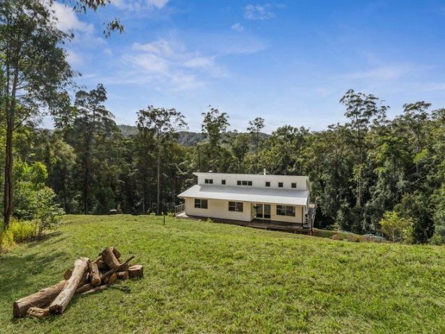 Treetop Bliss, at Home with Nature!