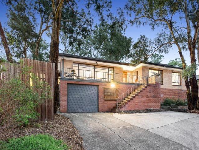 Treetop family living on 1,167sqm