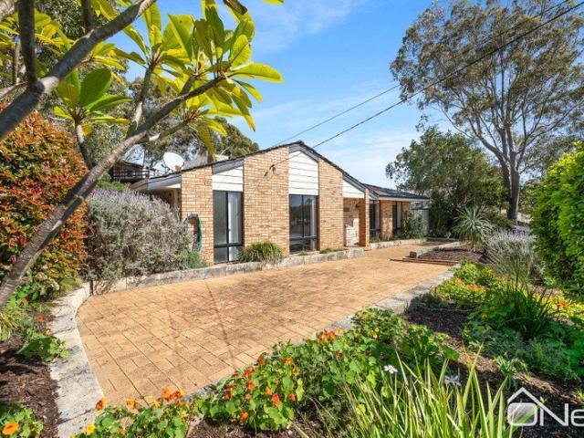 TREETOP LIVING WITH A STUDIO SURPRISE!