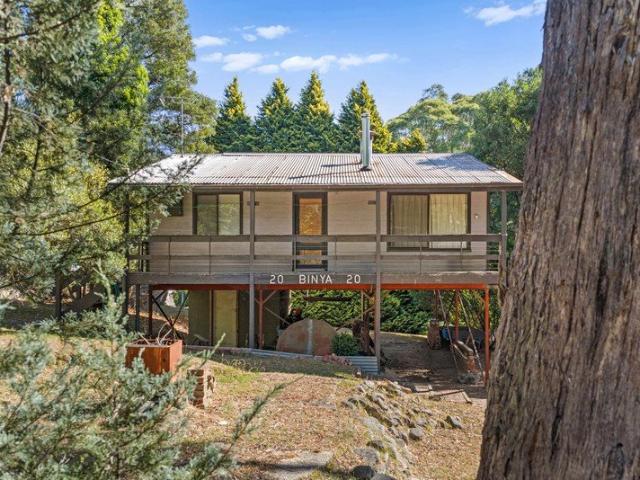 Treetop retreat at the base of Mt Buller