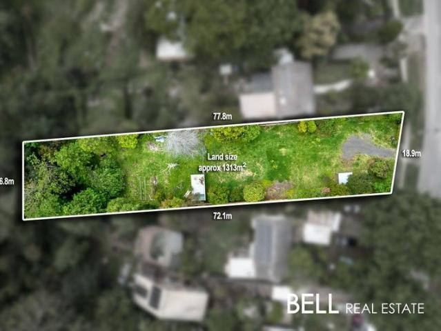 Treetop Tranquility and Village Convenience The Perfect Canvas