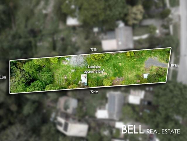 Treetop Tranquility and Village Convenience The Perfect Canvas