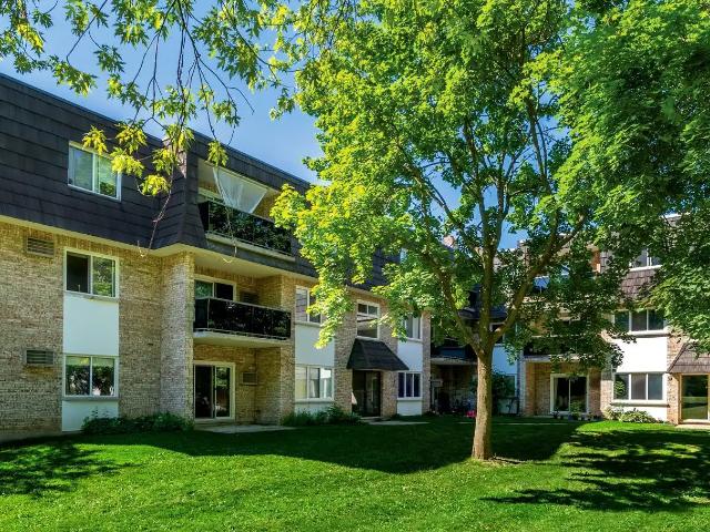 Treeview Manor
