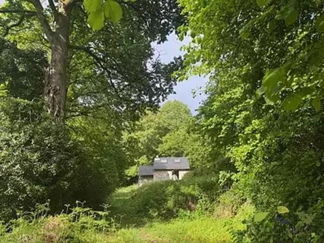 Treignac 19260 Achat / Vente maison 1 pièce t1