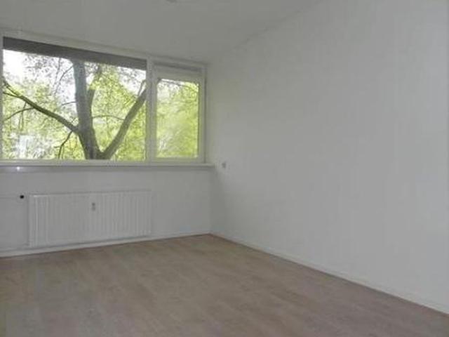 Trekvogelweg 3815 LA Amersfoort