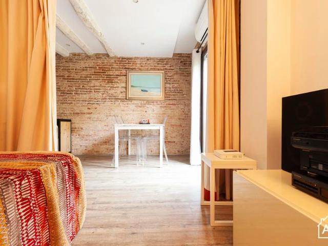 Trendy 1 Bedroom Apartment near Las Ramblas