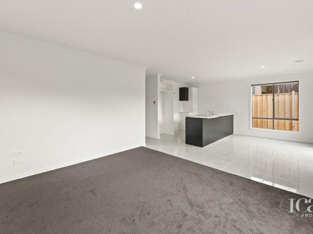 Trendy and contemporary