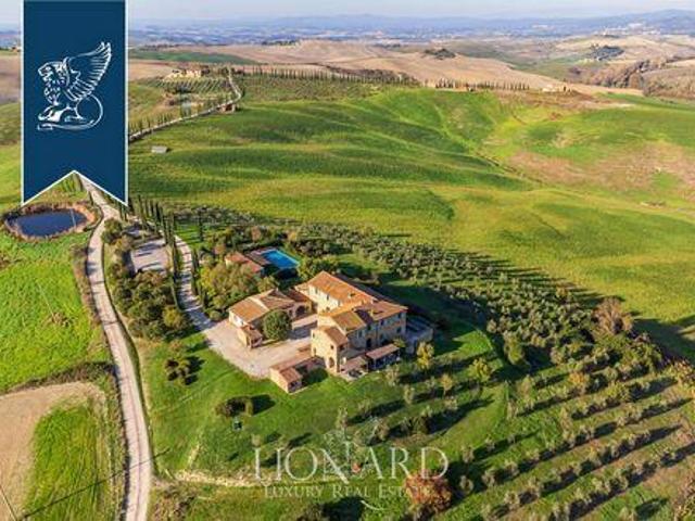 Trequanda Siena 91462502