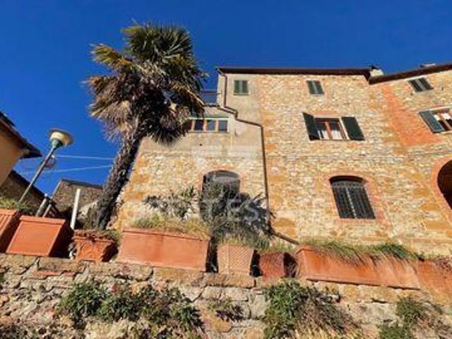 Trequanda Siena 97114440