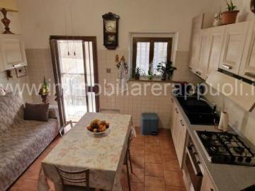 Trequanda, Arezzo Toscana, Toscana - Cantina