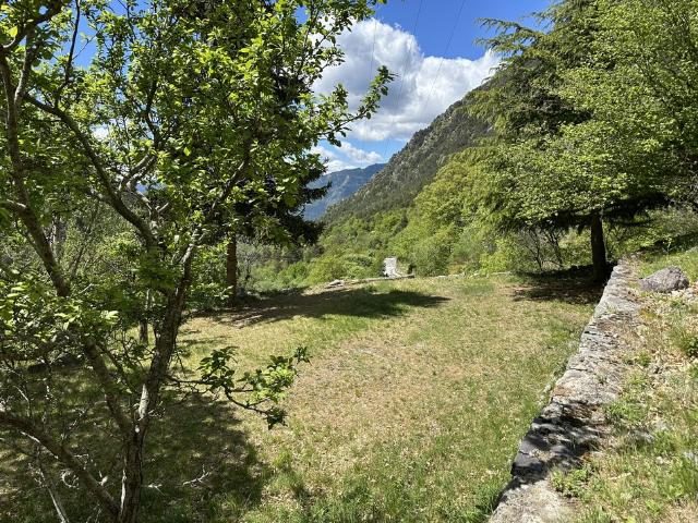 Très beau chalet 5 pièces avec dépendances et terrain