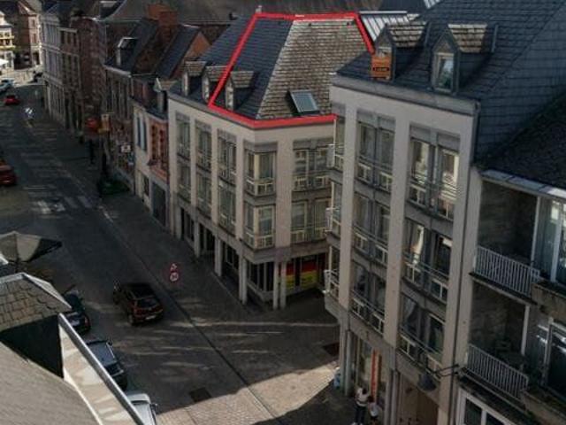 Très beau studio lumineux de 50m² à 100m de la grand place