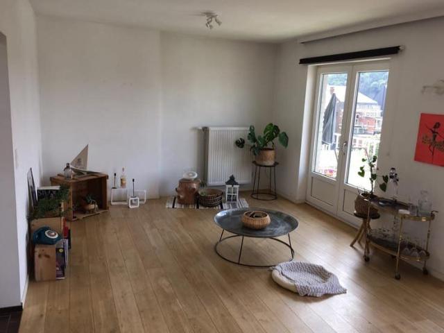 Très bel appart 1 chambre cosi prox Université et clinique