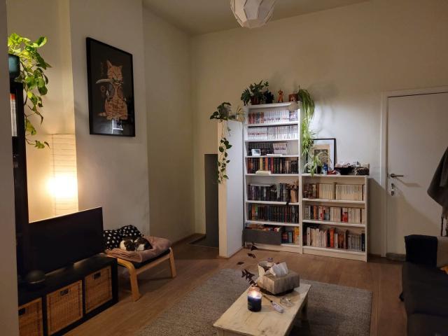 Très bel appartement à louer