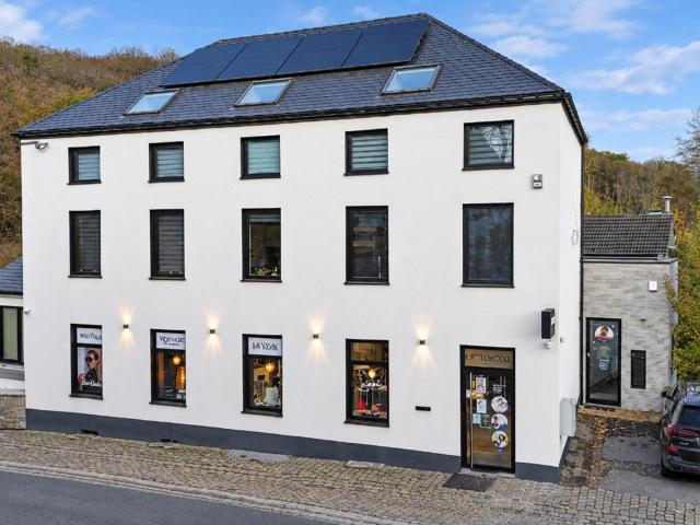 Très bel appartement duplex meublé 2 chambres avec terrasse